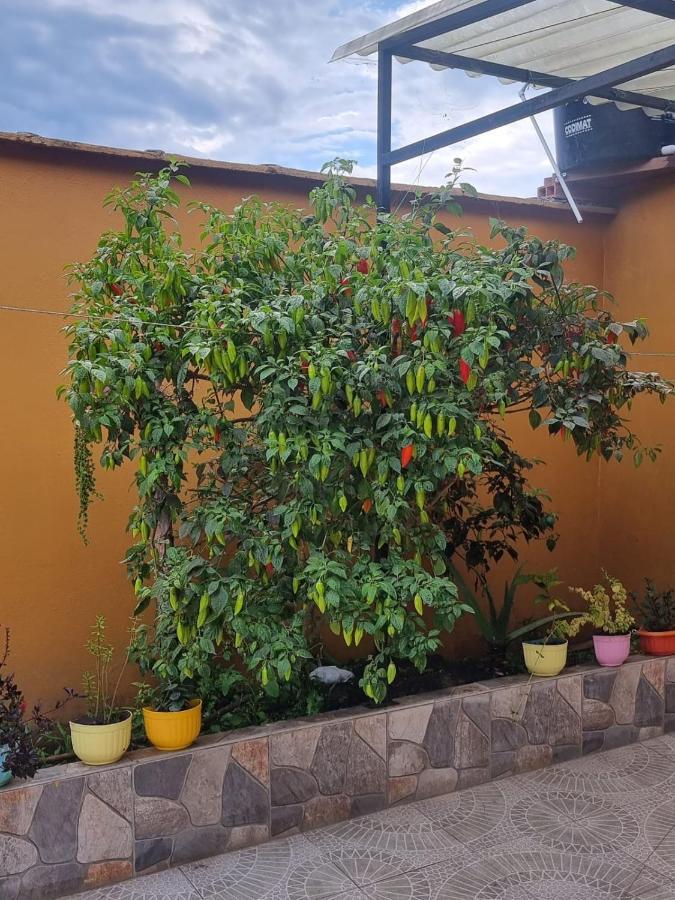 Hospedaje En Esplendor Jardín Esterno foto